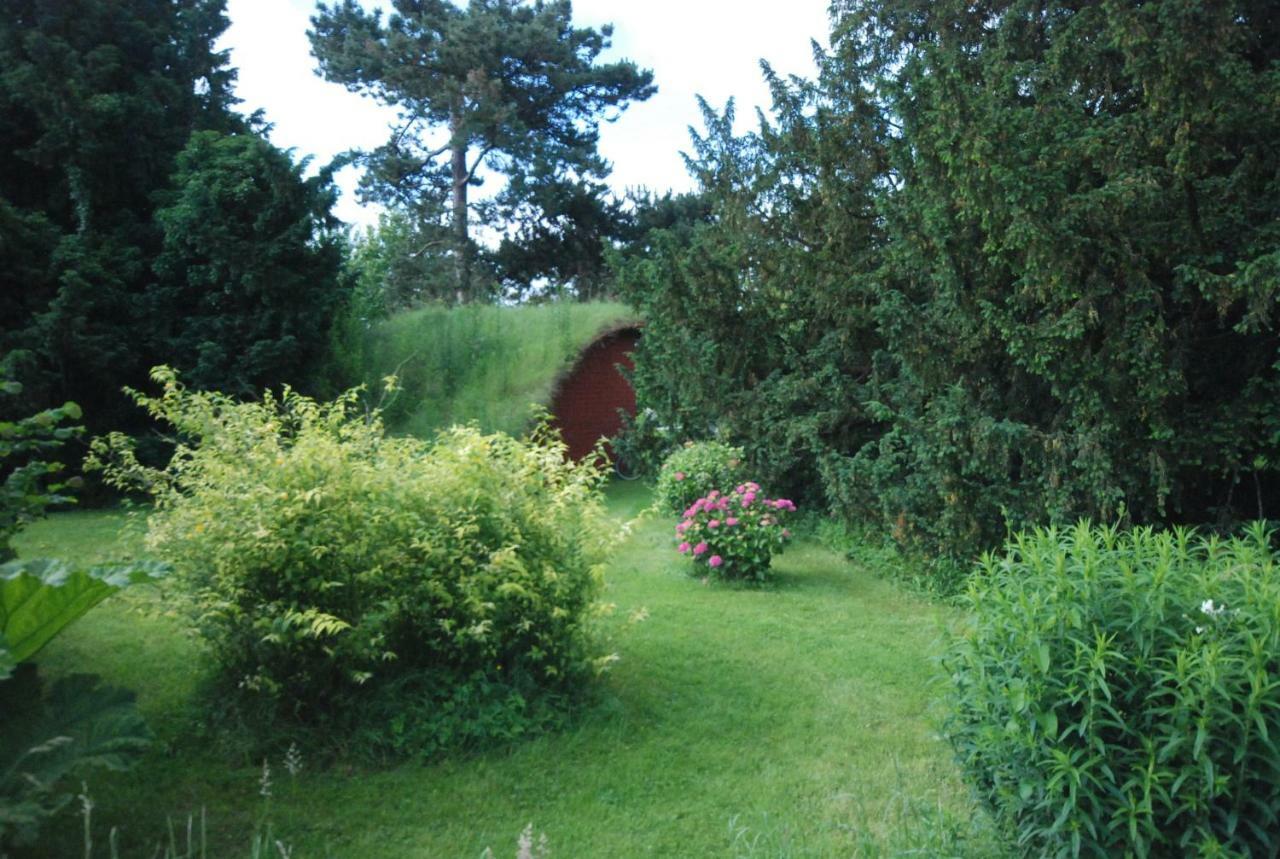 Rose 2* Beauvoir (Manche)