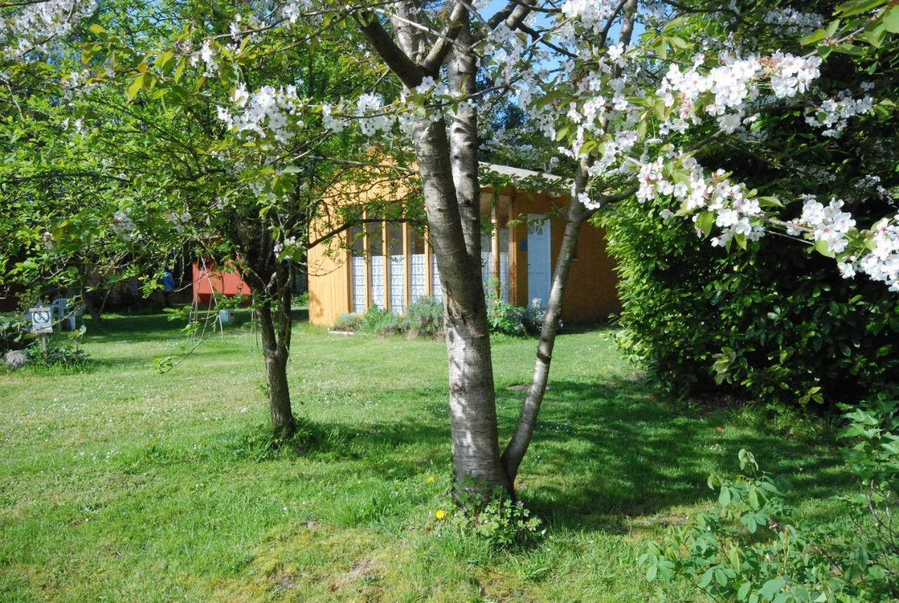 Rose Hotel Beauvoir (Manche)